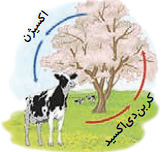 صفحه 14 2 Screenshot 2025 08 24 185039