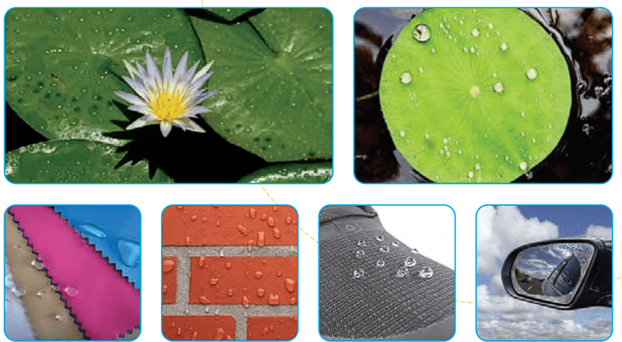 صفحه 16 1 Screenshot 2025 09 03 215321