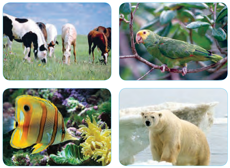 صفحه 11 1 image 223