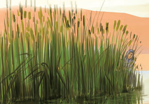 صفحه 14 1 image 224