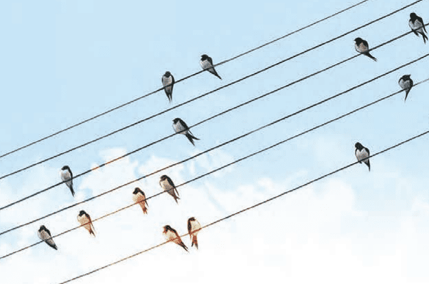 صفحه 20 1 image 247