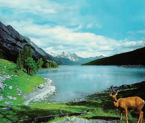 صفحه 15 1 image 251