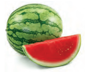 صفحه 12 1 image 284