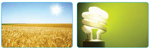 صفحه 23 1 image 394