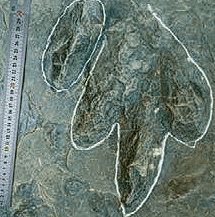 صفحه 29 1 image 458