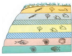 صفحه 32 1 image 461