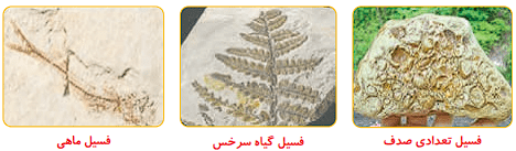 صفحه 34 2 image 465